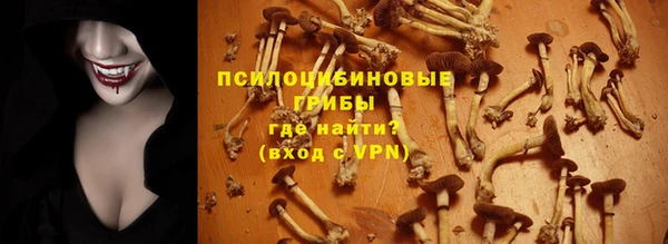 прущие крисы Белокуриха