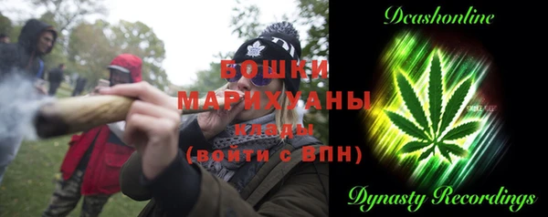 прущие крисы Белокуриха