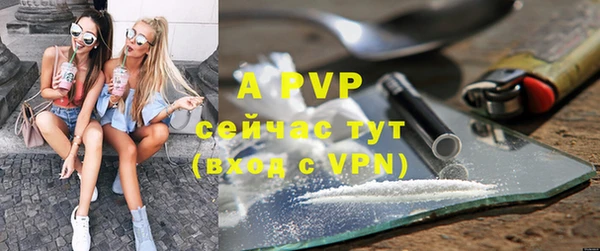 прущие крисы Белокуриха