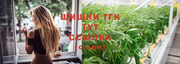 прущие крисы Белокуриха